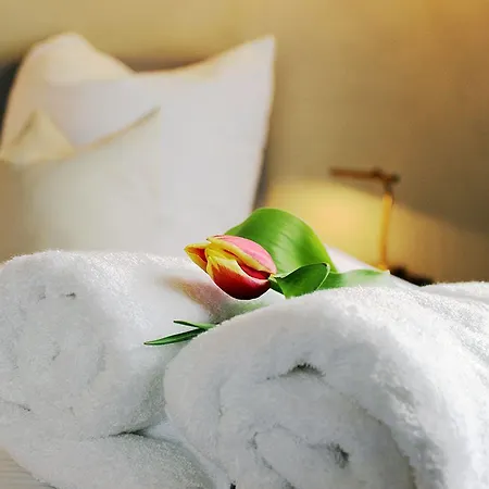 Guest house Altstadt Gaestehaus 3*